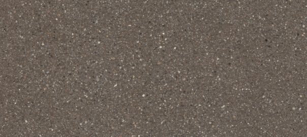 Bomanite Integrally Colored Polished Concrete