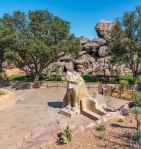 El Paso Zoo Chihauhuan Desert Exhibits with Bomanite Imprinted Concrete Systems showcasing the Bomacron Garden Stone pattern installed by Bomanite Artistic Concrete from El Paso, TX replicating a Desert Riverbed.